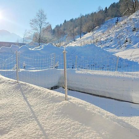 Ferienwohnungen Raffler Fieberbrunn Esterno foto